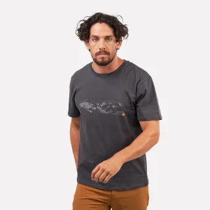 Polera Cuernos del Paine Manga Corta Hombre Gris