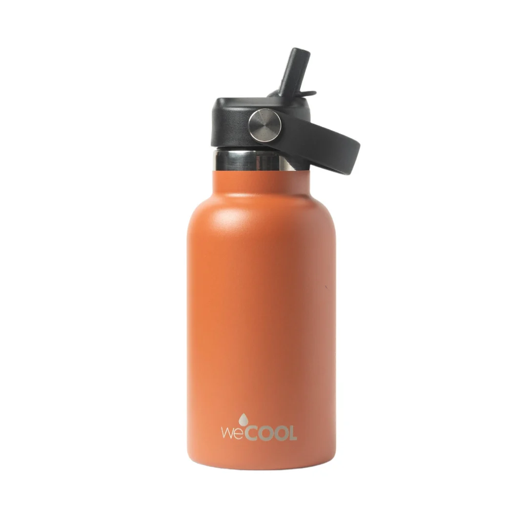 Botella térmica insulada Kids 350ml – WeCool