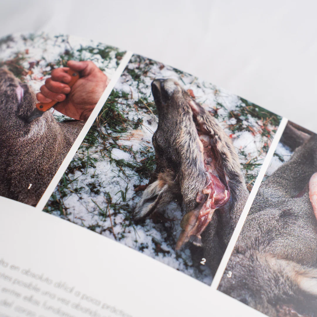 El corzo, del campo a la mesa | Pablo Ortega - Imagen 5