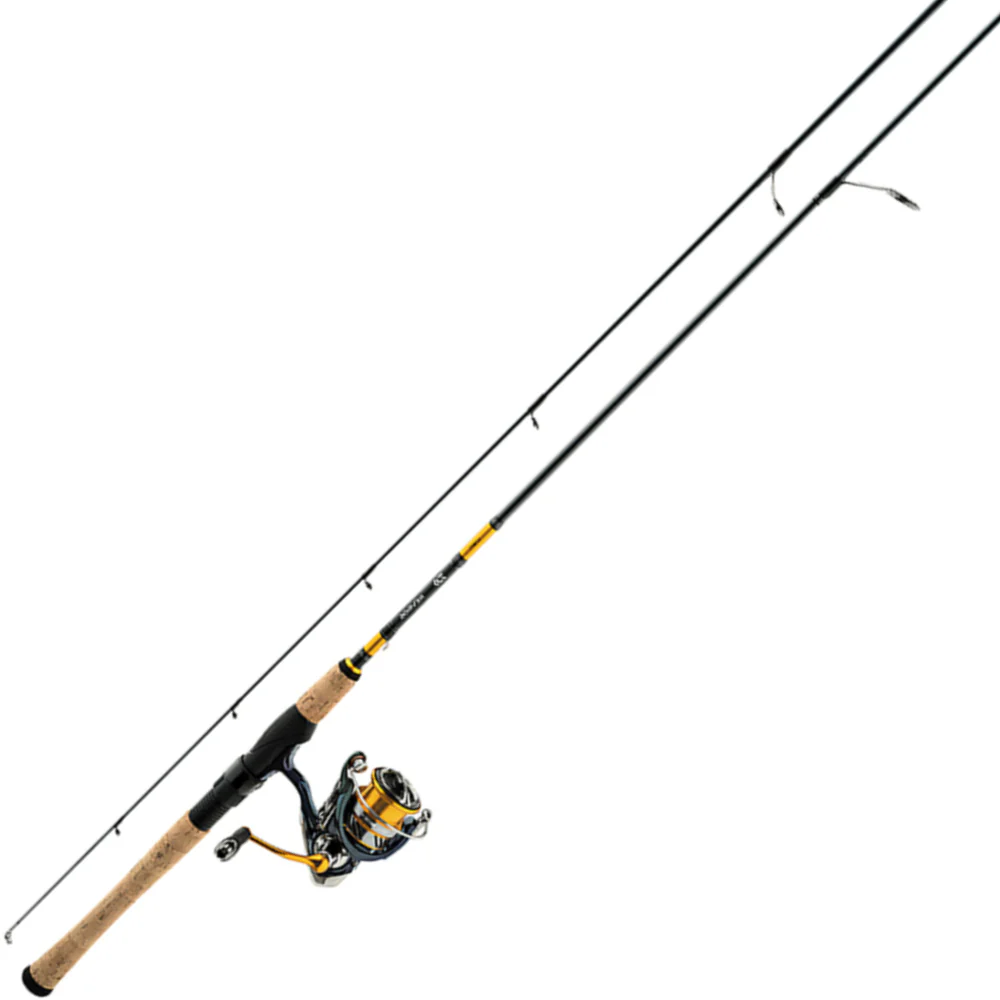 DAIWA Combo Spinning Revros 6'6" M Revros LT 2500 RVRLT25-4BI/G662M (2 Tramos)