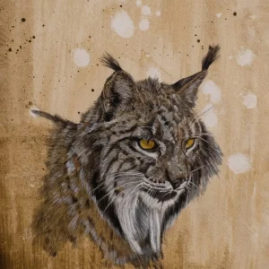 Lince ibérico ( reproducción )- Jorge Manzanares