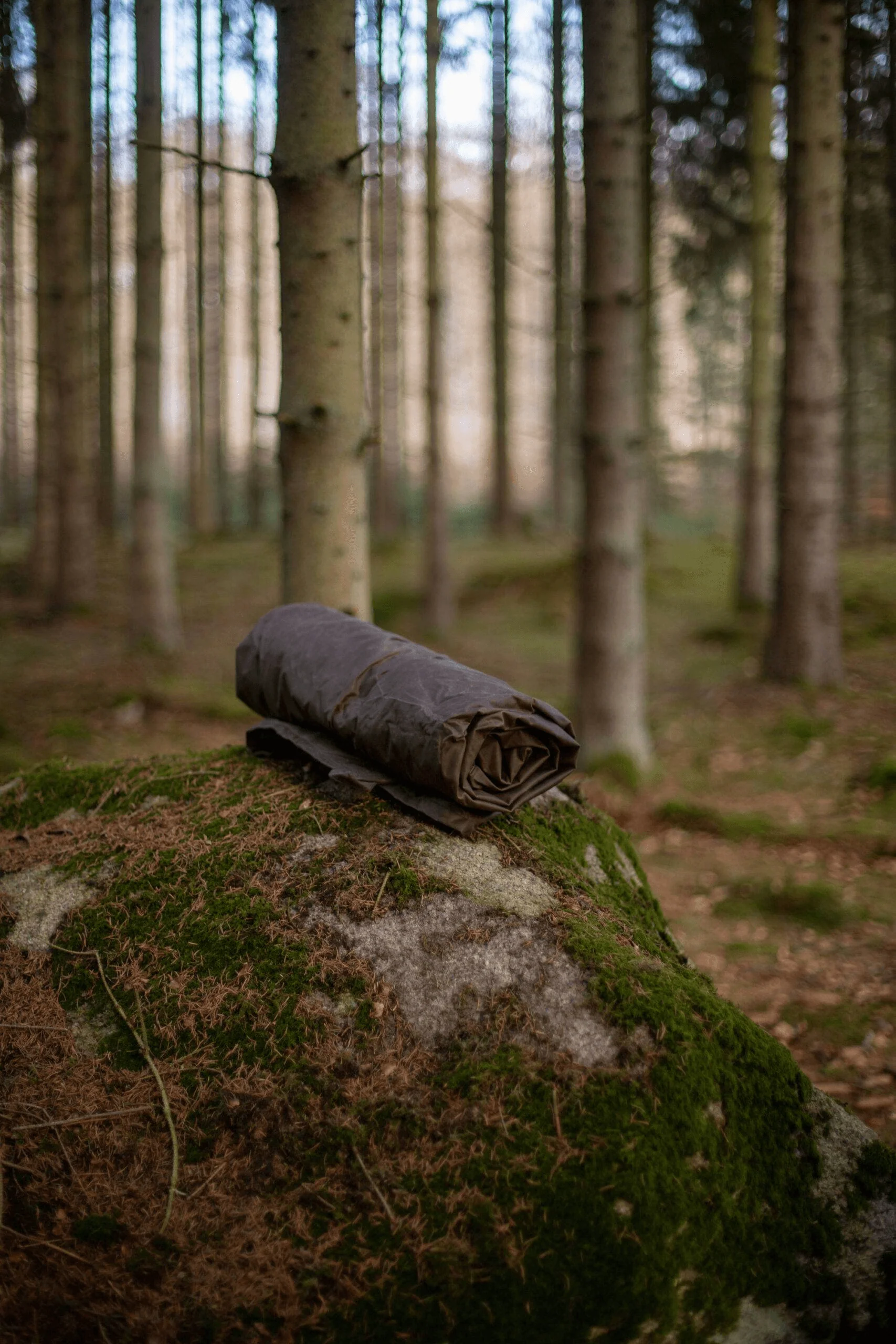 Paño De Lana y Hule Verde - Imagen 7